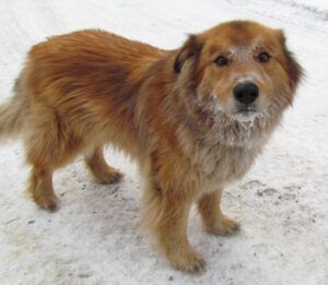 7-harry-ice-face (SUN, SUN, SUN (But it’s Minus Thirty-One.))