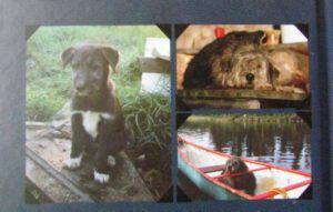 lonesome-10-back-cover (Lonesome, 10th Anniversary Edition)