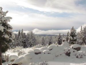 rare-sun (Snow at Ginty Creek.)