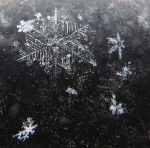 snowflakes-1 (Boxing Day 2016)