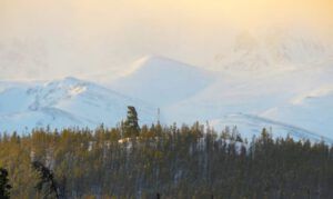 10 internet tower (New Year at Ginty Creek)