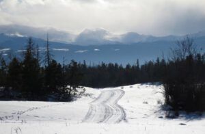 18 ski trails, tatla (New Year at Ginty Creek)