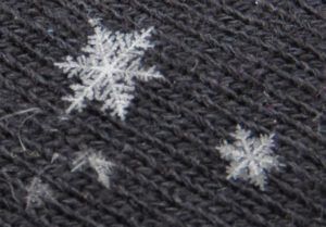 24 snowflakes 2 (New Year at Ginty Creek)