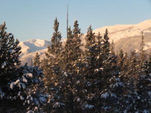 25 fresh snow (New Year at Ginty Creek)