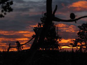 1 sunrise (The Days Are Getting Longer)