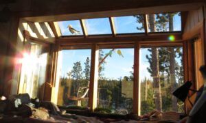 ‘s nutcracker (The Days Are Getting Longer)