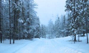 14 fresh snow (The Days Are Getting Longer)