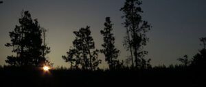 18 morning (The Days Are Getting Longer)