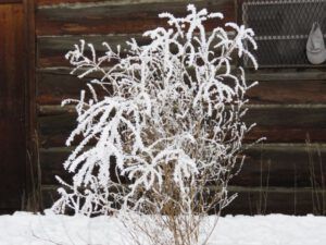 7b store KK (The Days Are Getting Longer)