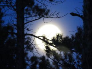 1 full moon (February at Ginty Creek)