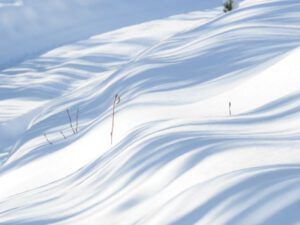 10 shadow abstract 1 (Spring Solstice 2017)