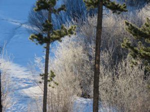 12 pond (February at Ginty Creek)