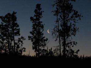 16 last of moon (February at Ginty Creek)
