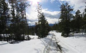 3 temp warming (February at Ginty Creek)