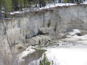 7 new slip from bank (Spring Solstice 2017)