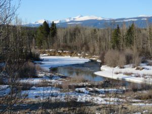 17 river (The Geese Have Landed)