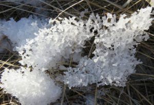 18 strange snow texture (The Geese Have Landed)