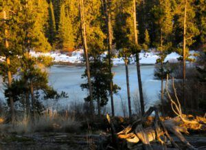 23 frozen pond (The Geese Have Landed)