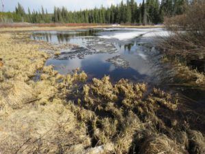 28a pond opened (The Geese Have Landed)