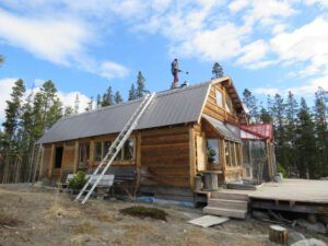 31 chimney sweep (The Geese Have Landed)