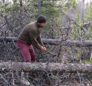 32 clearing branches (The Geese Have Landed)
