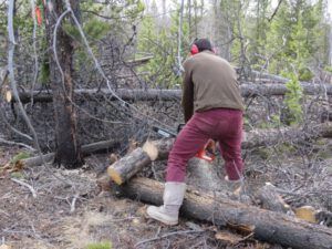 33 chainsaw (The Geese Have Landed)