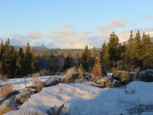 5 early sun (The Geese Have Landed)