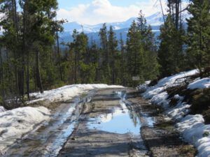 8a road mess (The Geese Have Landed)