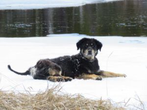 12 Badger best (Meanwhile….)