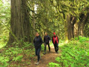 12 big trees (Bella Coola May 2017)
