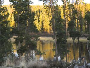 12b pond open 2 (Meanwhile….)