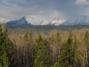 14 storms over mts. (Meanwhile….)