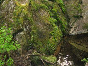 16 petroglyphs (Bella Coola May 2017)