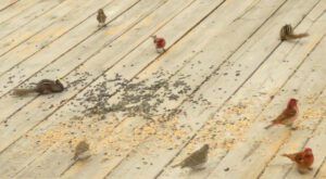 16b mix on deck (Meanwhile….)