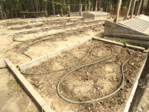 20 garden (Meanwhile….)