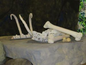 ‘s graveyard (The Lion King)