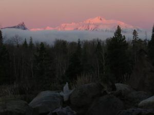 6 pink sunrise (We’ve Got Leaves!)