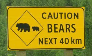 10 Bear sign (Yukon Journey – Meziadin Junction to Whitehorse)