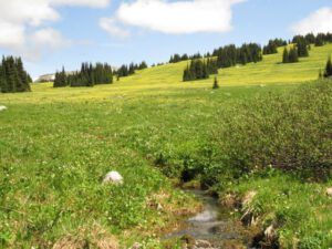 113a unbelievable (Highway 5)