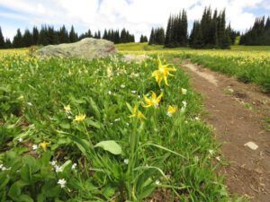 113b blown away 2 (Highway 5)