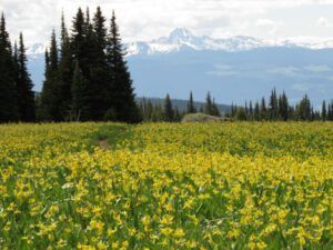 113c again! (Highway 5)