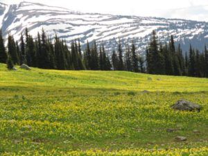 113d and again! (Highway 5)