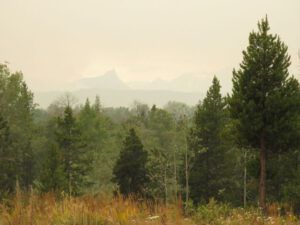 12 Finger Peak (Fire Update)