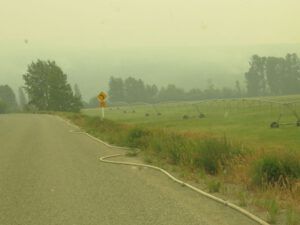 13 downtown KK (Fire Update)