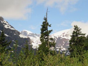 13 view (Home to Stewart and Salmon Glacier)