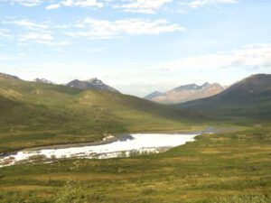 15 aufice (Tombstone Territorial Park)