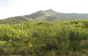 16 forbidden mountain (Tombstone Territorial Park)
