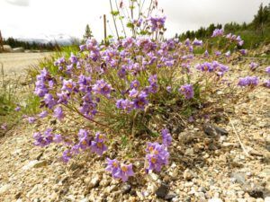 16b jacobs ladder (Yukon Journey – Meziadin Junction to Whitehorse)