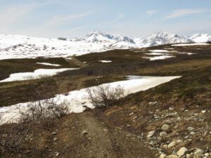 17 mts clearing (Yukon Journey – Chilkat Pass.)