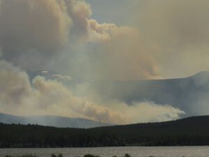 18 from Terra Nostra (FIRE!)